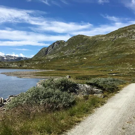 Reinunga Eco Hytta - Mountain Lodge Near Myrdal Accessible Only By Train Or Bike Exterior photo
