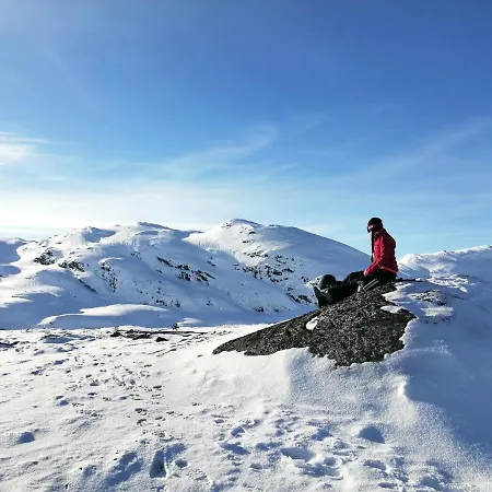 Reinunga Eco Hytta - Mountain Lodge Near Myrdal Accessible Only By Train Or Bike Exterior photo