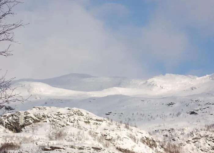 Reinunga Eco Hytta - Mountain Lodge Near Myrdal Accessible Only By Train Or Bike