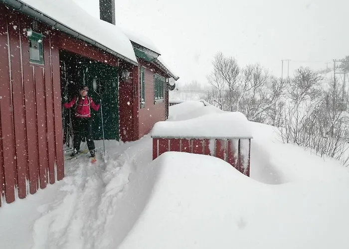 Reinunga Eco Hytta - Mountain Lodge Near Myrdal Accessible Only By Train Or Bike