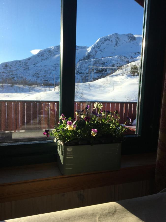 Reinunga Eco Hytta - Mountain Near Accessible Only By Train Or Bike