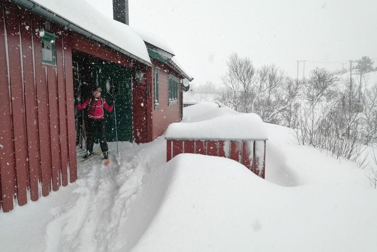 Lodger Reinunga Eco Hytta - Mountain Near Accessible Only By Train Or Bike Myrdal